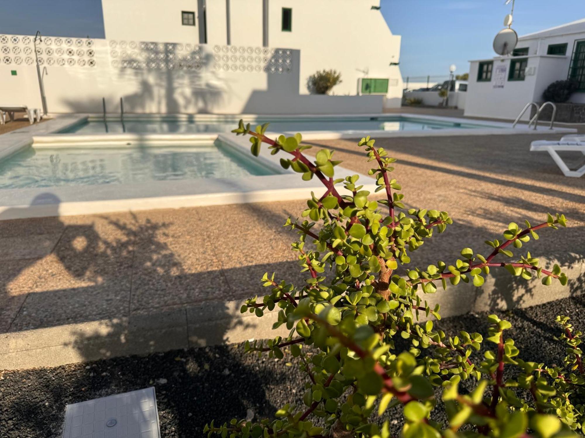 Las Mimosas Puerto del Carmen  Exterior foto