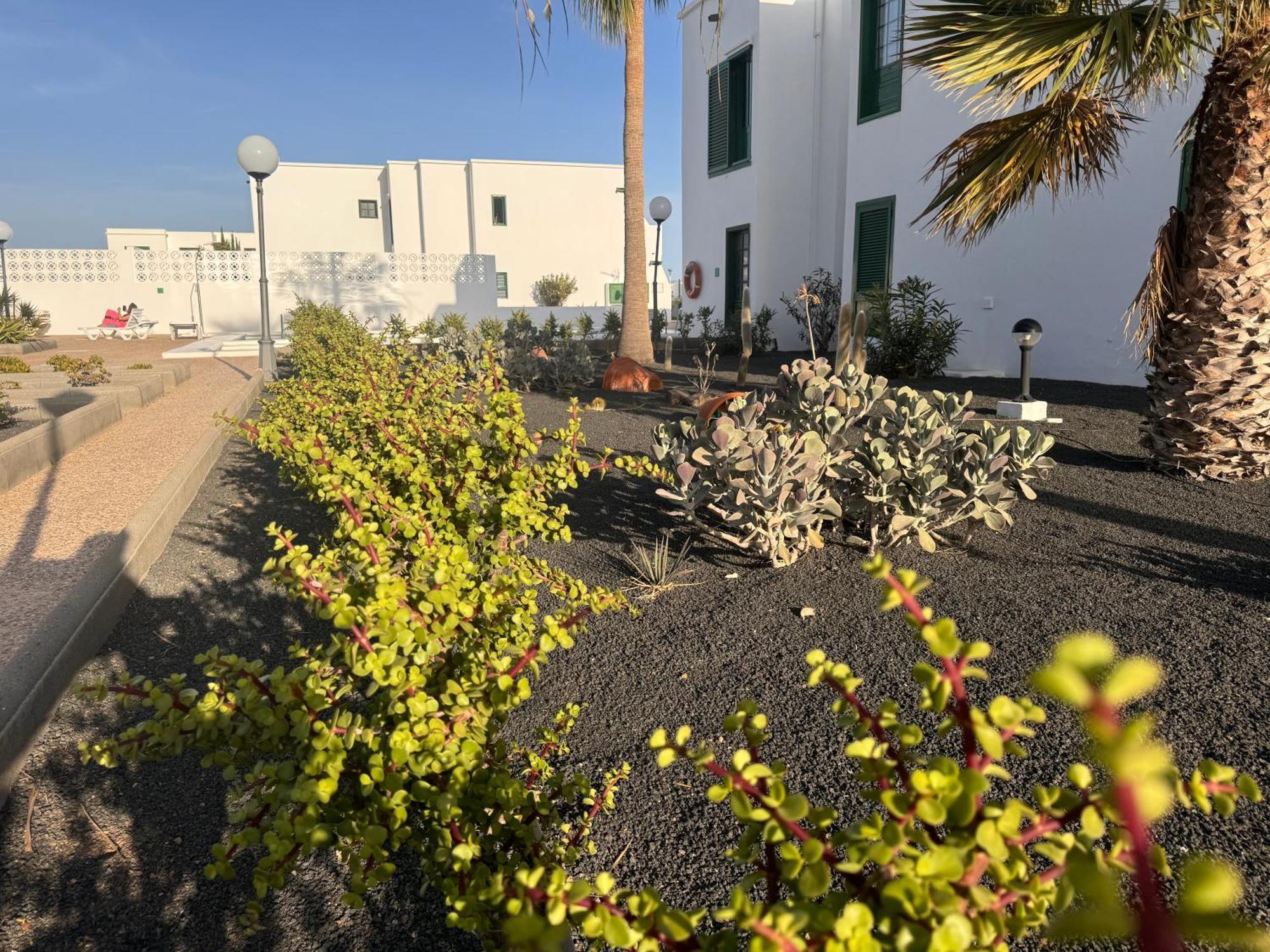 Las Mimosas Puerto del Carmen  Exterior foto